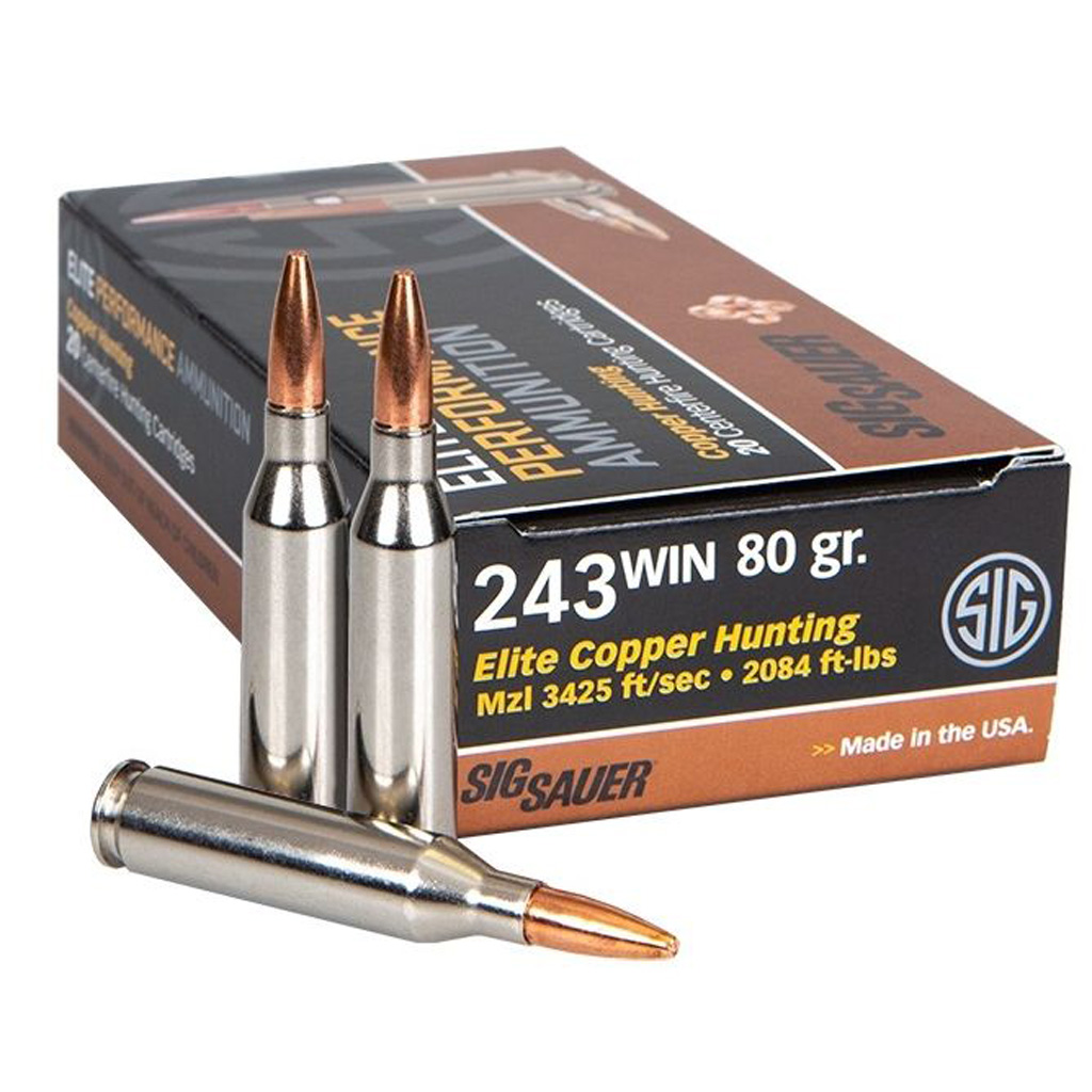  Sauer E243H120 Elite Copper Hunting Copper Solid 80 Grain .243 Winchester 3425 Fps Ammo